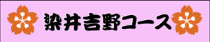 染井吉野コース
