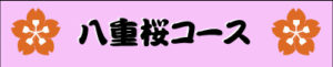 八重桜コース