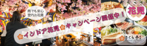 インドア花見