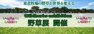 野草展