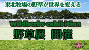 野草展