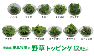 野草のトッピング